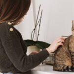 The Role of an In-Home Veterinarian in Chronic Illness Care