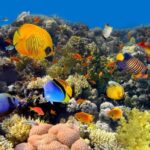 Deer Fencing Designs – How To Build A Deer Proof Fence