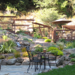 The best Corals You Should Be Aware Of Now