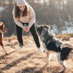 Read to Know About Few Large and Small Types of African Cats