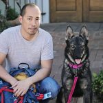 Diarrhoea In Dogs and Giving Medications & Natural Help