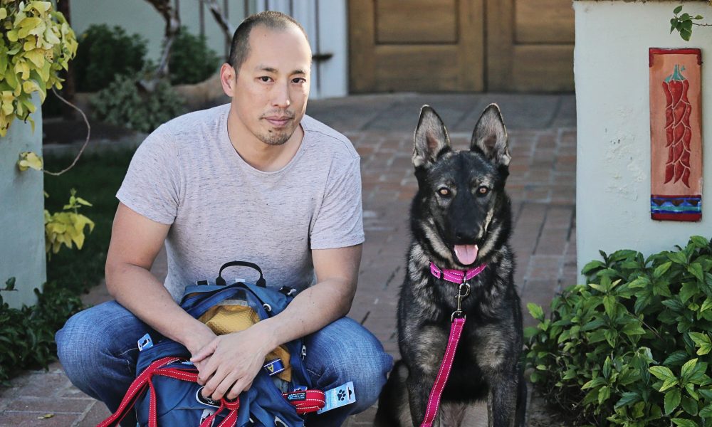 Dog Collars and Leashes