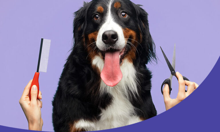 Professional Grooming