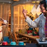 Top 10 Tips on Simparica Trio Flea Tick Worm Treatment