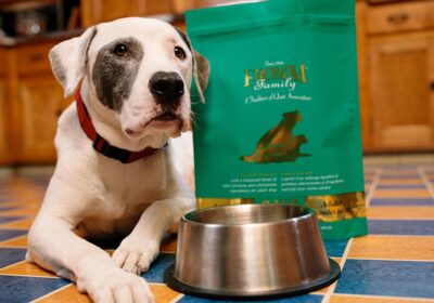 Senior Dog Support Strengthened by New Weight Gainer for Dogs