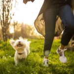 Everyday Pet Health Concerns Explained: Simple Answers for Worried Owners