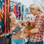 Hypoglycemia in Diabetic Pets: Key Warning Signs and How Continuous Tracking Offers Early Protection